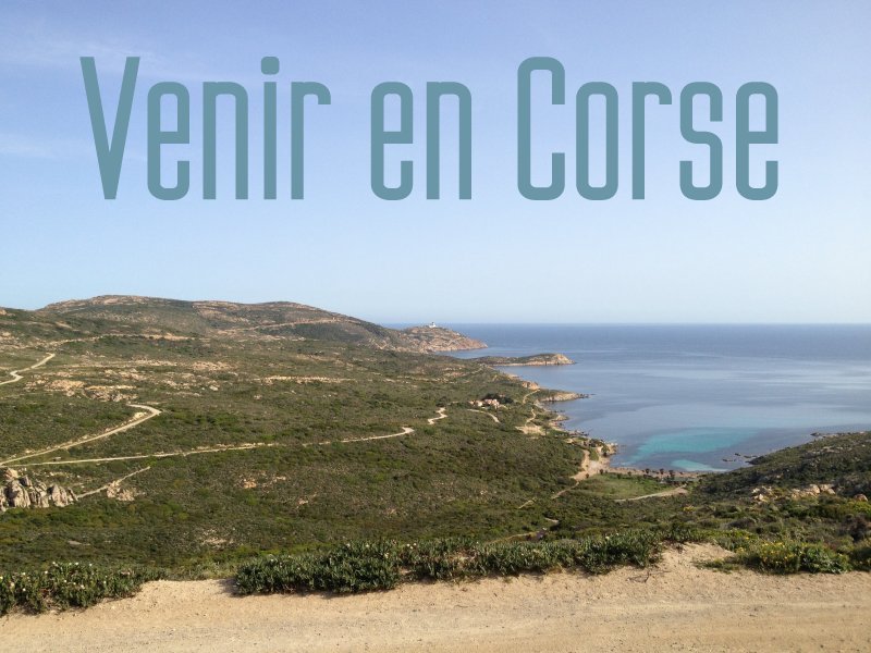 Presqu'île de la Revellata : un site à découvrir absolument ! Presqu'île de la Revellata : un site à découvrir absolument !