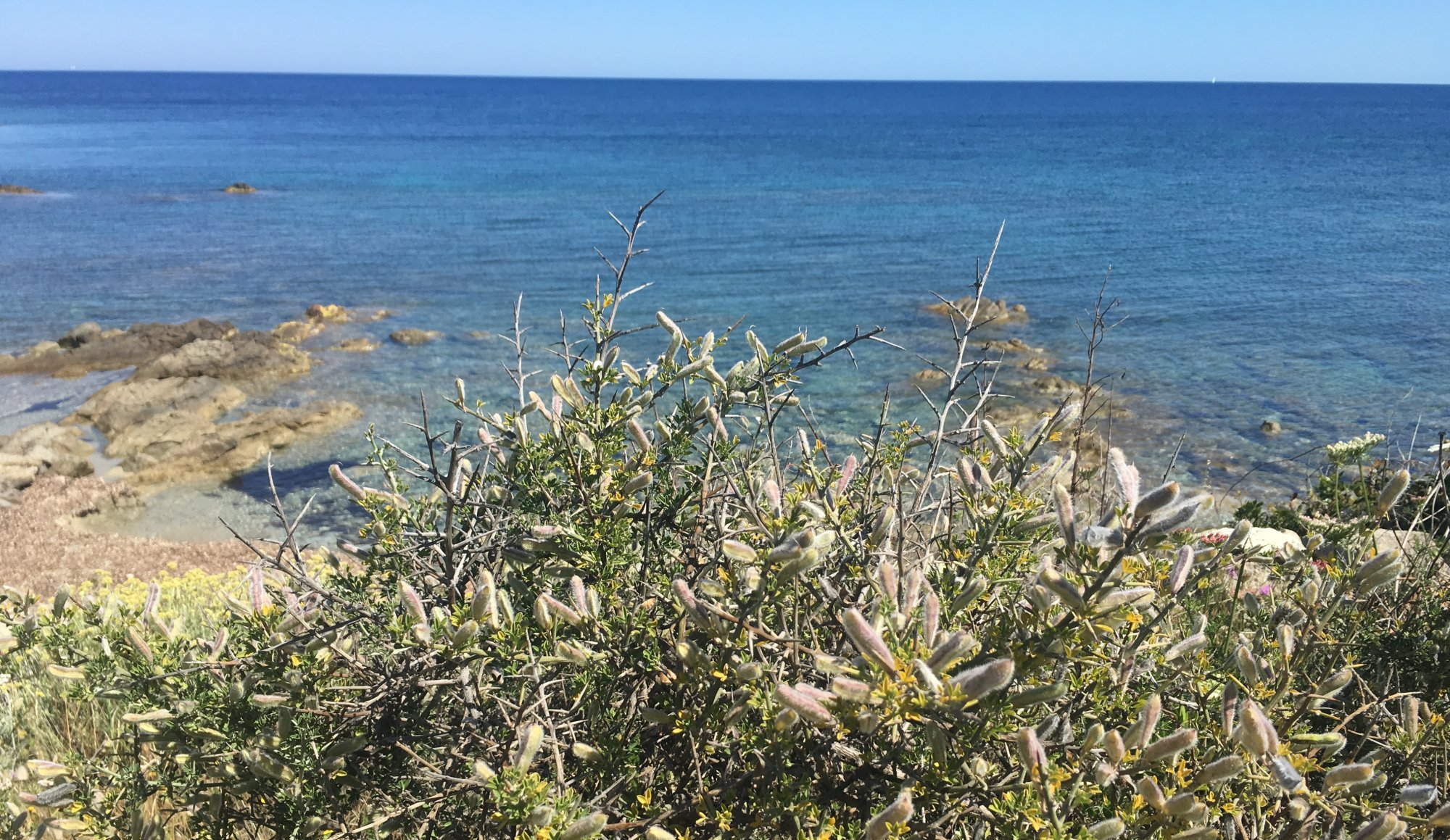 La Corse et sa nature riche et exceptionnelle