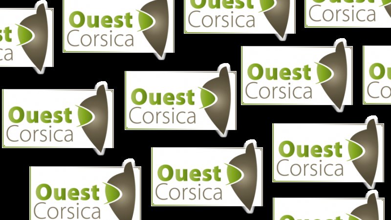 Office de tourisme intercommunal ouest corsica