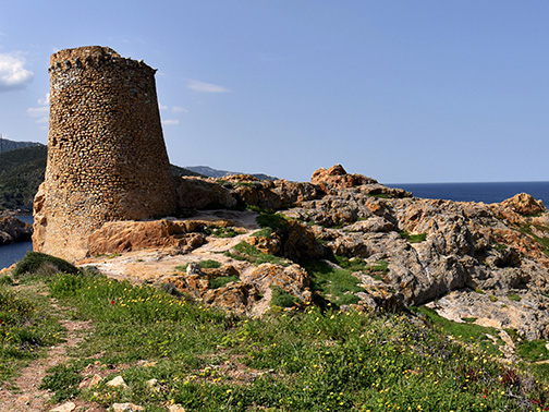 Le port de la ville d'Ile Rousse qui est située dans le nord-ouest de la Corse, une des destinations favorites en Corse