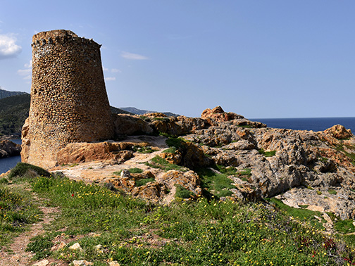 Le port de la Ville d'Ile Rousse qui est située dans le nord-ouest de la Corse, une des destinations favorites en Corse