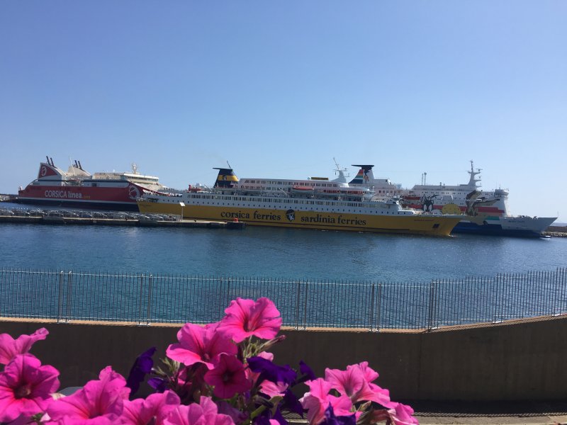 CGV Corsica Ferries - Responsabilité du Transporteur