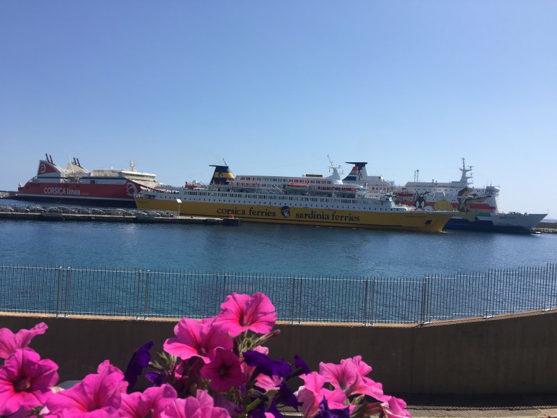 Conditions Générales de Ventes - Corsica Ferries - Responsabilité du Transporteur CGV Corsica Ferries - Responsabilité du Transporteur
