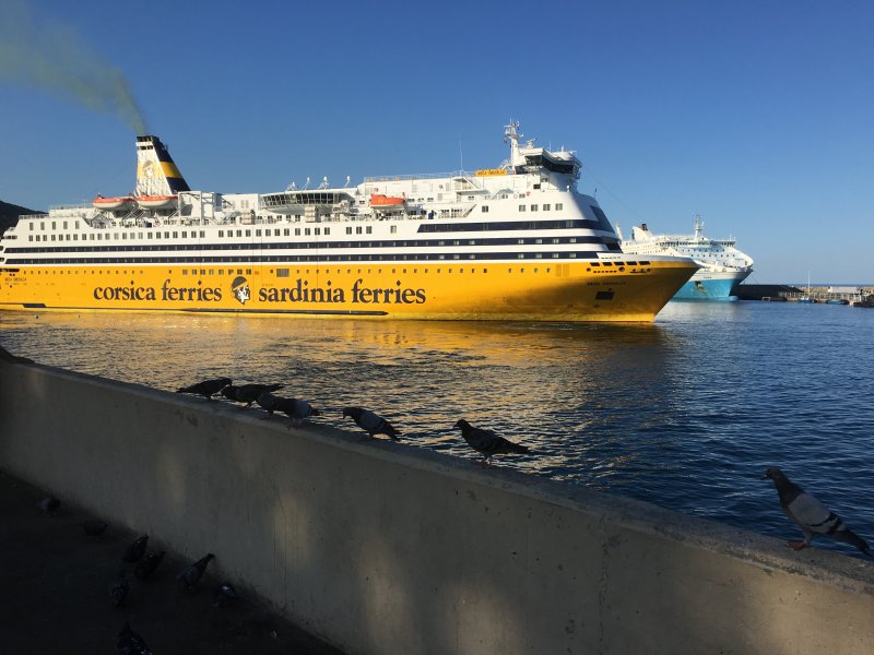 CGV Corsica Ferries - Dispositions diverses