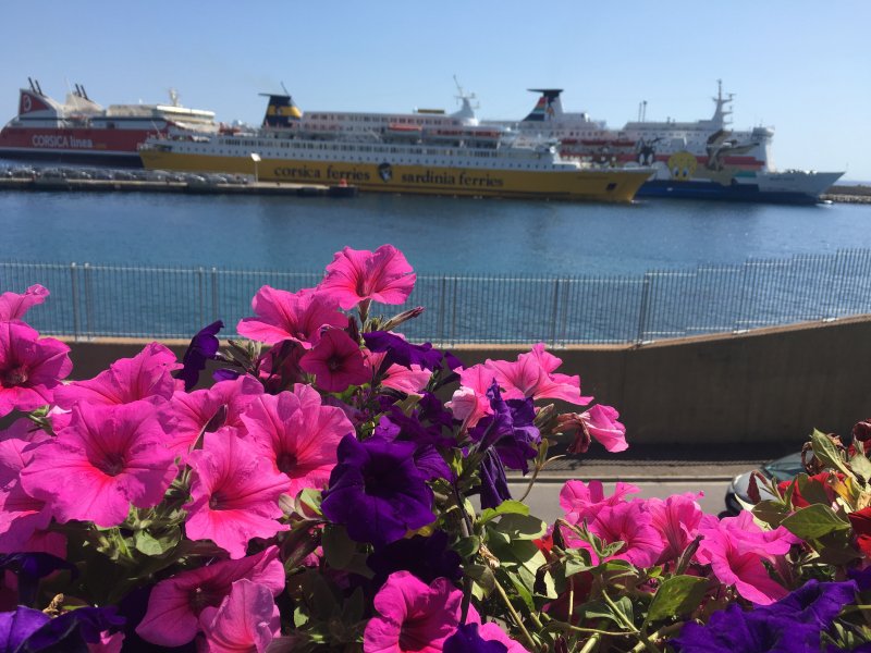 CGV Corsica Ferries - Responsabilité du Passager