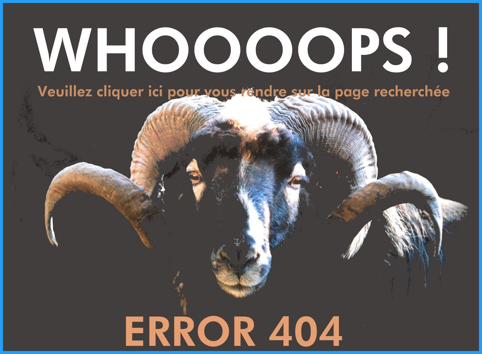 Erreur 404 youferry
